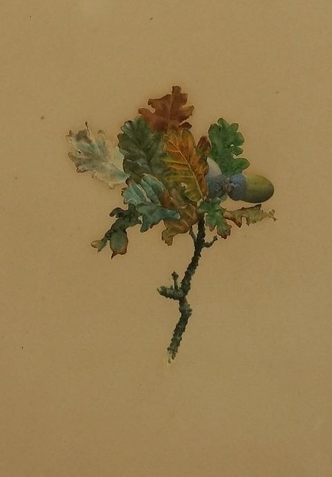Watercolour. A nubbly twig with a spray of multicoloured oak leaves and an acorn are against a golden tan background. The leaves deepen from frosty green to darker hues, and some turn rust brown.