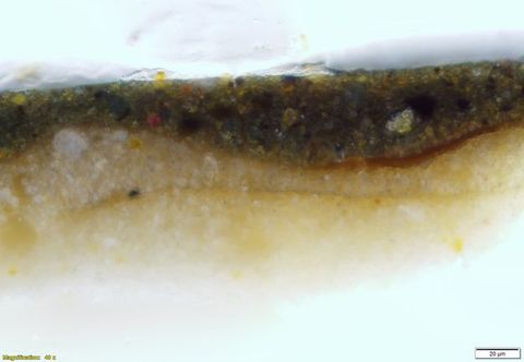 Colour photograph. In this microscopic cross section of paint, a white layer across the bottom gives way to golden yellow. Text in the lower left corner reads, “Magnification: 40x”, and in the lower right, “20µm”.